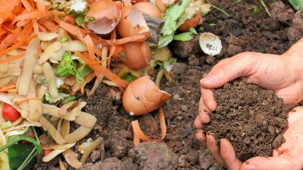 Understanding SEO through Gardening - Fertilising - Supercharge your SEO